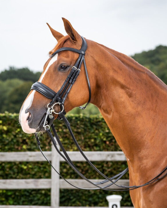 Dy'on Dressage Collection Flat Leather Double Bridle