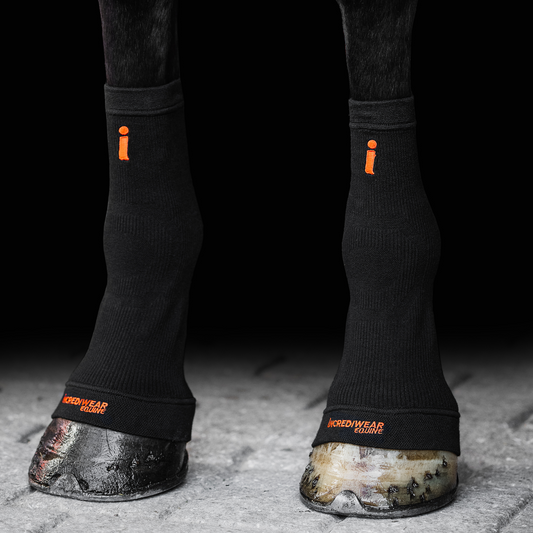 Incrediwear Equine Circulation Hoof Socks - BLACK