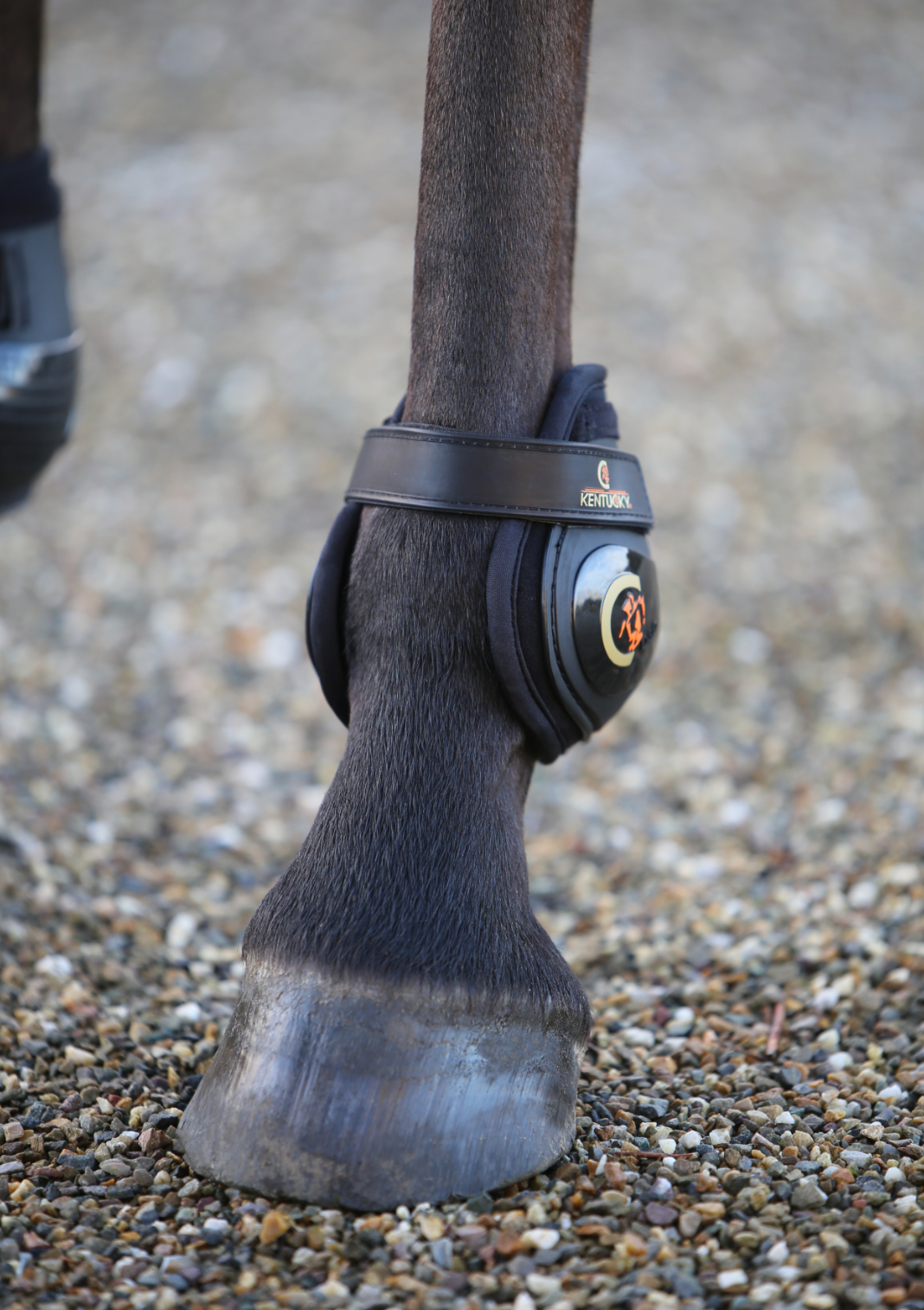 Kentucky Moonboots | Black Full Size