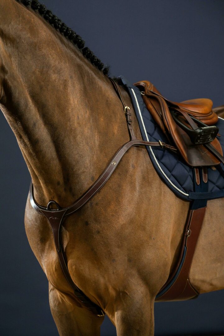 Dy'on D Collection Long Bridge Breastplate