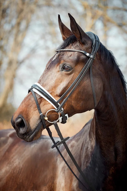Finesse Snaffle Bridle Cayenne V2.0 | Black Leather with Silver Clincher Browband FLAT Leather