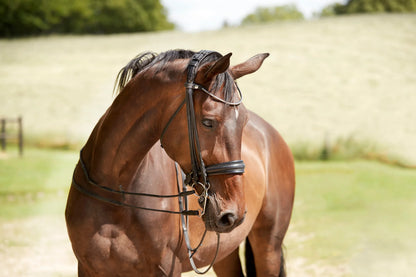 Finesse Outlet Cayenne Double Bridle | Black Leather with Silver Clincher Browband FLAT Leather