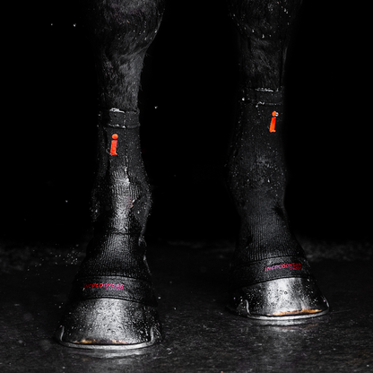 Incrediwear Equine Circulation Hoof Socks - BLACK