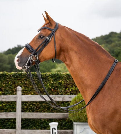 Dy'on Dressage Collection Flat Leather Double Bridle