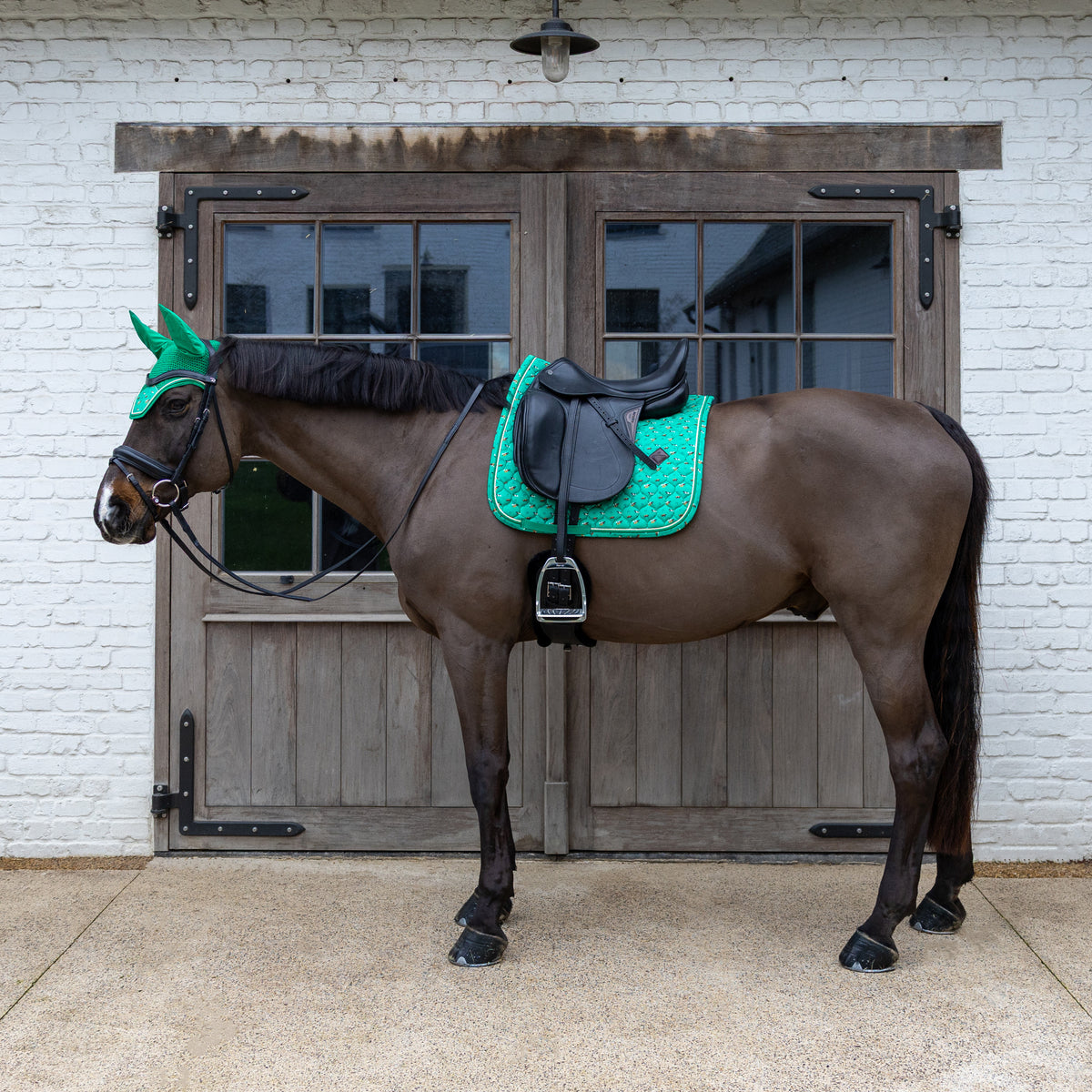 Kentucky Saddle Pad Velvet Horse Print: Dressage Blue or Green