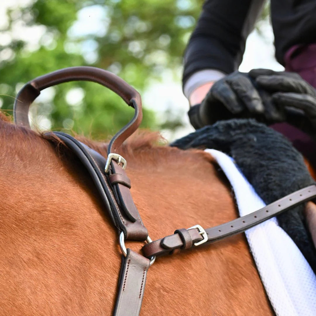 Correct Connect 3-Point Breastplate with Double Neck Strap