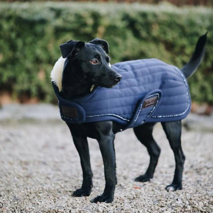 Kentucky Dog Rug Navy Pearls | XXL