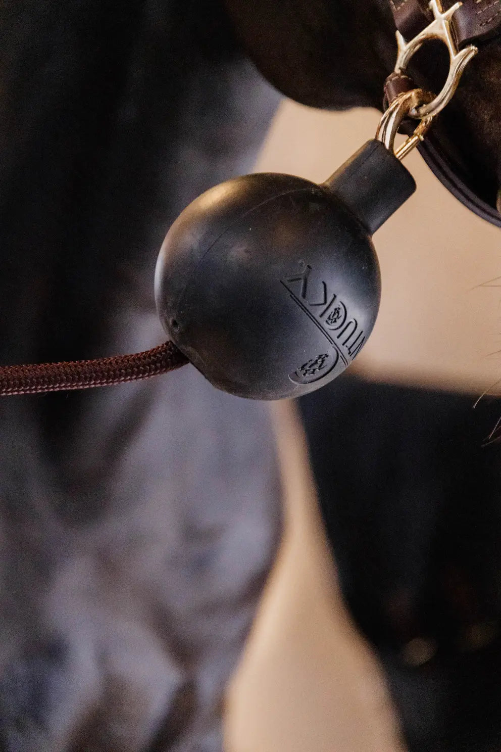 Kentucky Rubber Ball - Lead and Wall Protection - 1 pc