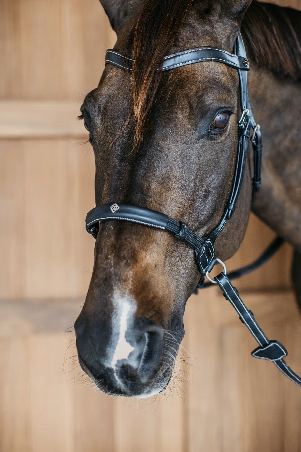 Working by Dy'on Bitless Bridle