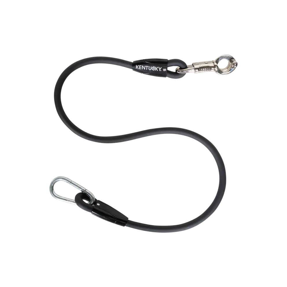 Kentucky Cross Tie, Stable, or Float Ties Leads Silicon - EACH