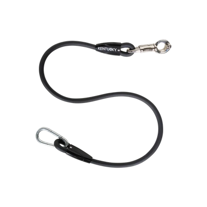 Kentucky Cross Tie, Stable, or Float Ties Leads Silicon - EACH
