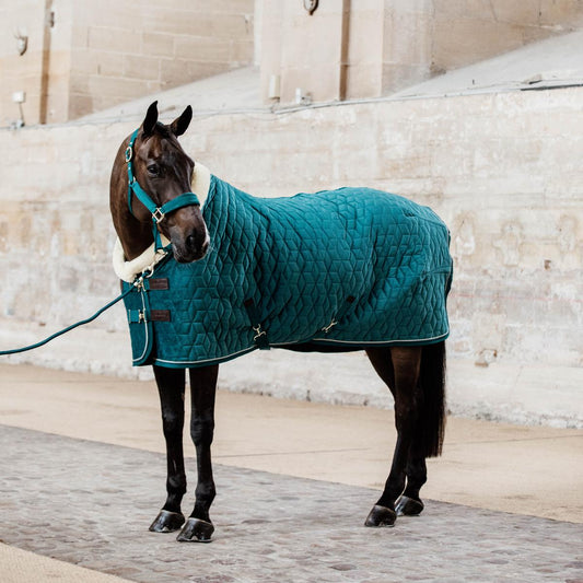 Kentucky Show Rug Velvet PREORDER