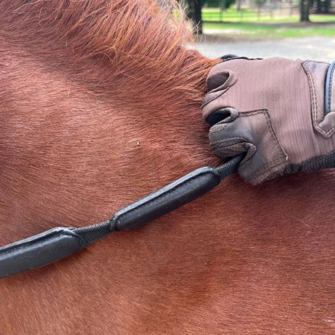 Correct Connect - Comfort Connect Reins