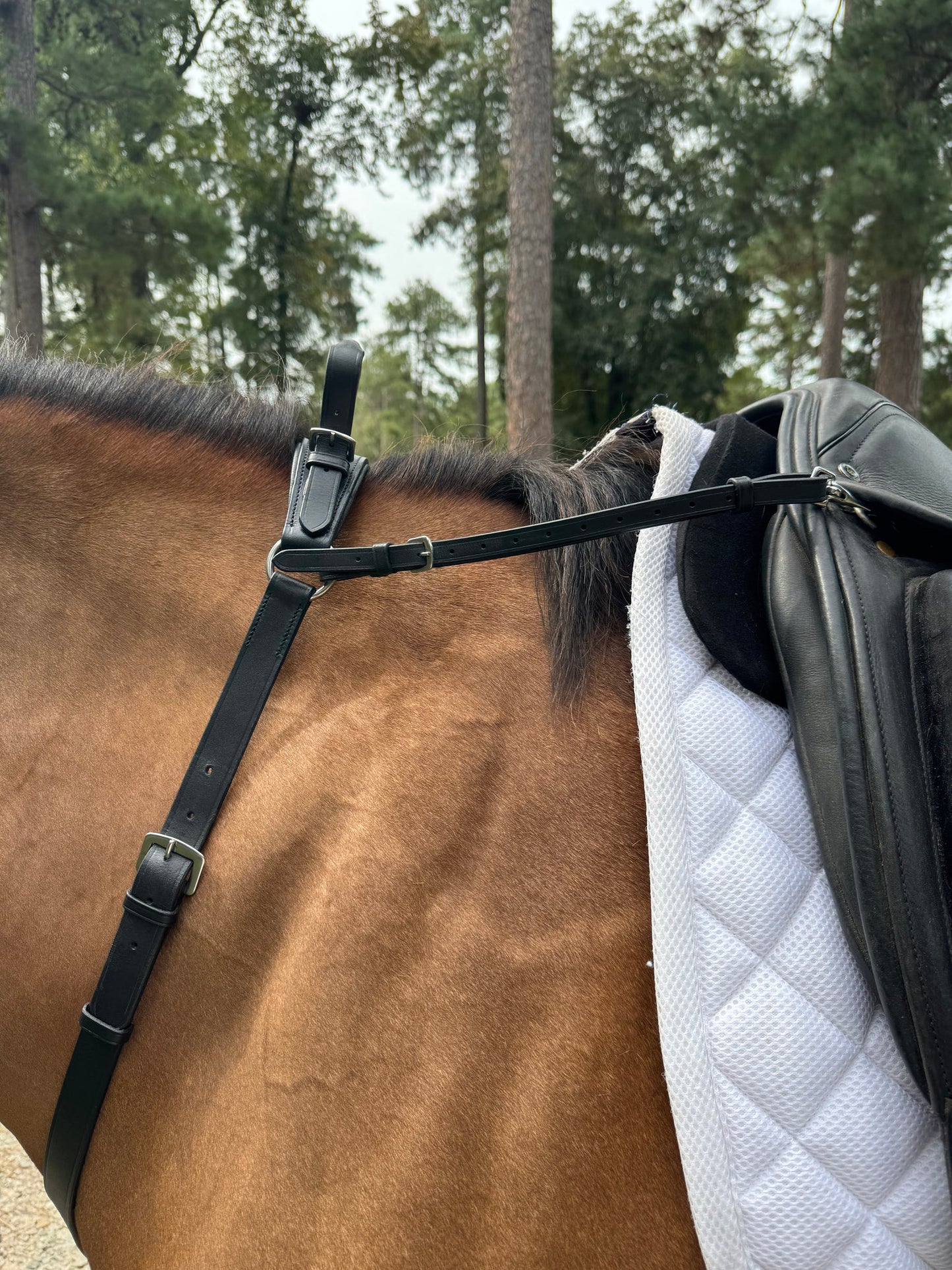 Correct Connect 3-Point Breastplate with Double Neck Strap