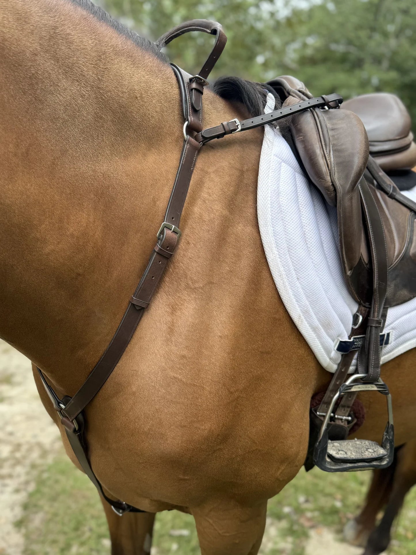Correct Connect 3-Point Breastplate with Double Neck Strap