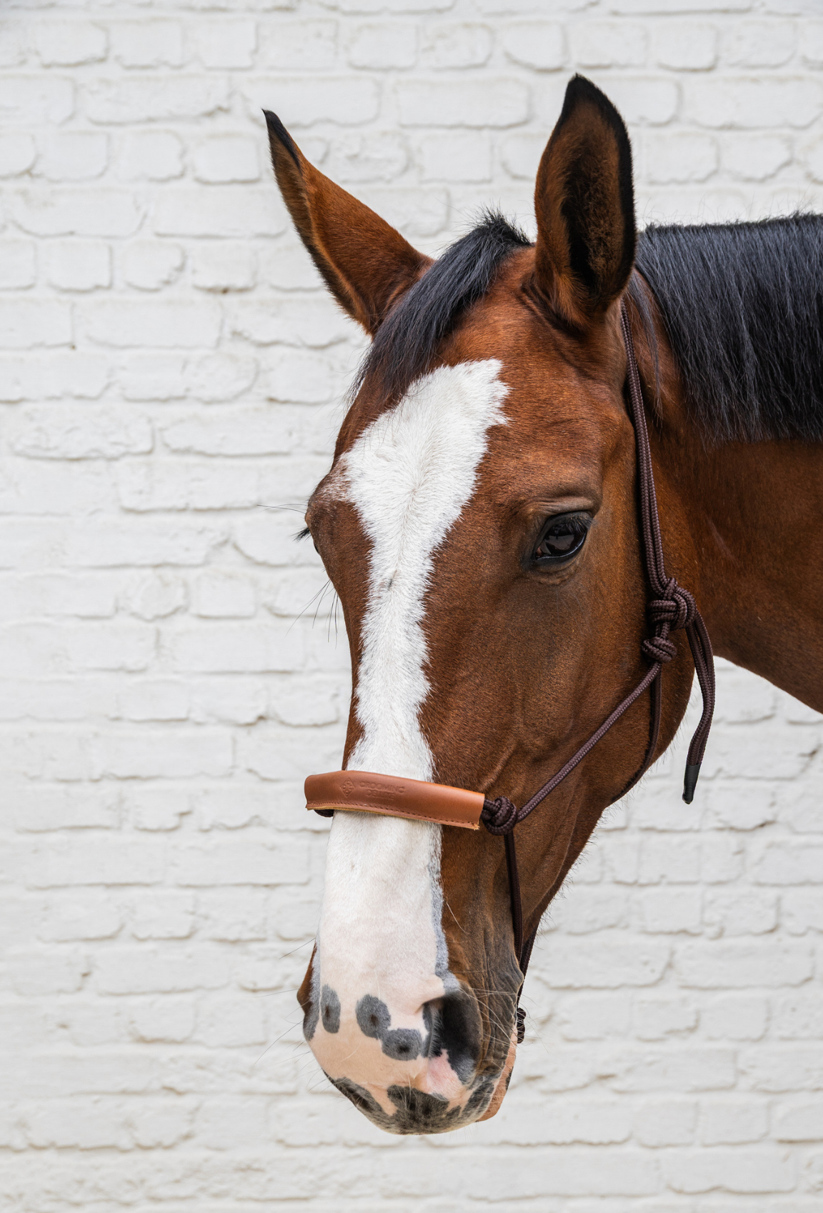 Kentucky Grooming Deluxe Rope Halter | Brown