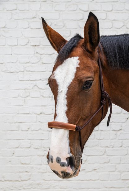 Kentucky Grooming Deluxe Rope Halter | Brown
