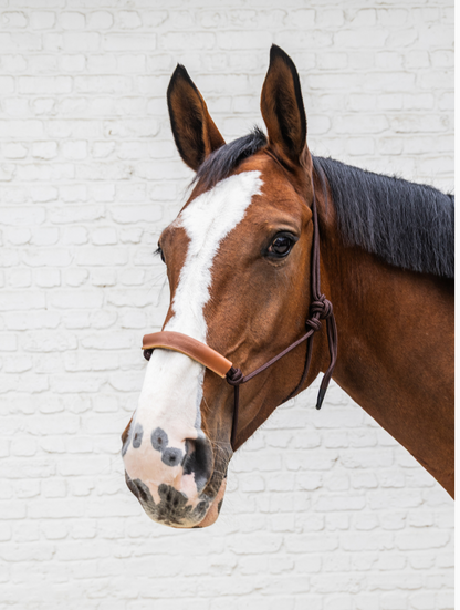 Kentucky Grooming Deluxe Rope Halter | Brown