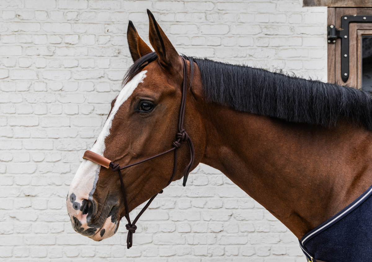 Kentucky Grooming Deluxe Rope Halter | Brown