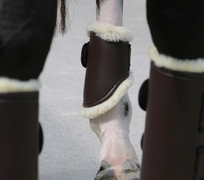 Kentucky Brushing Boots Leather Hind Short