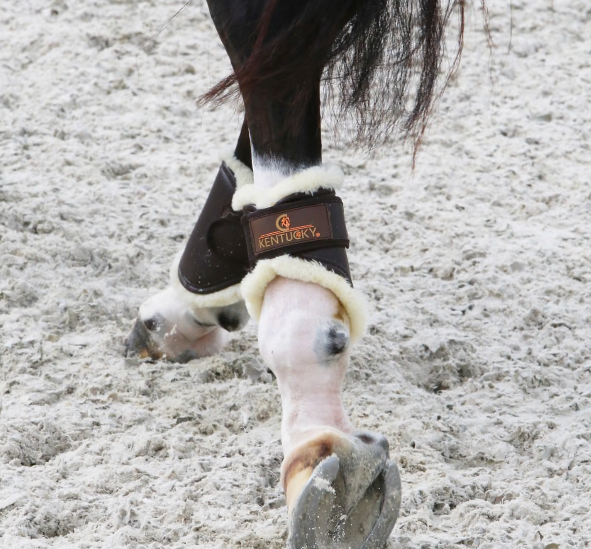 Kentucky Brushing Boots Leather Hind Short