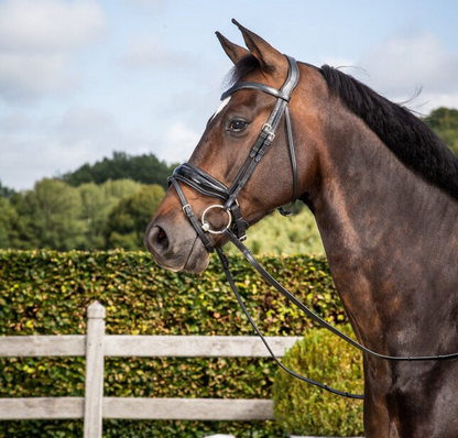 Dy'on Dressage Flat Leather Snaffle Bridle Patent Leather Noseband