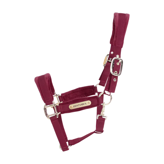 Kentucky Velvet Halter | Choose Colour