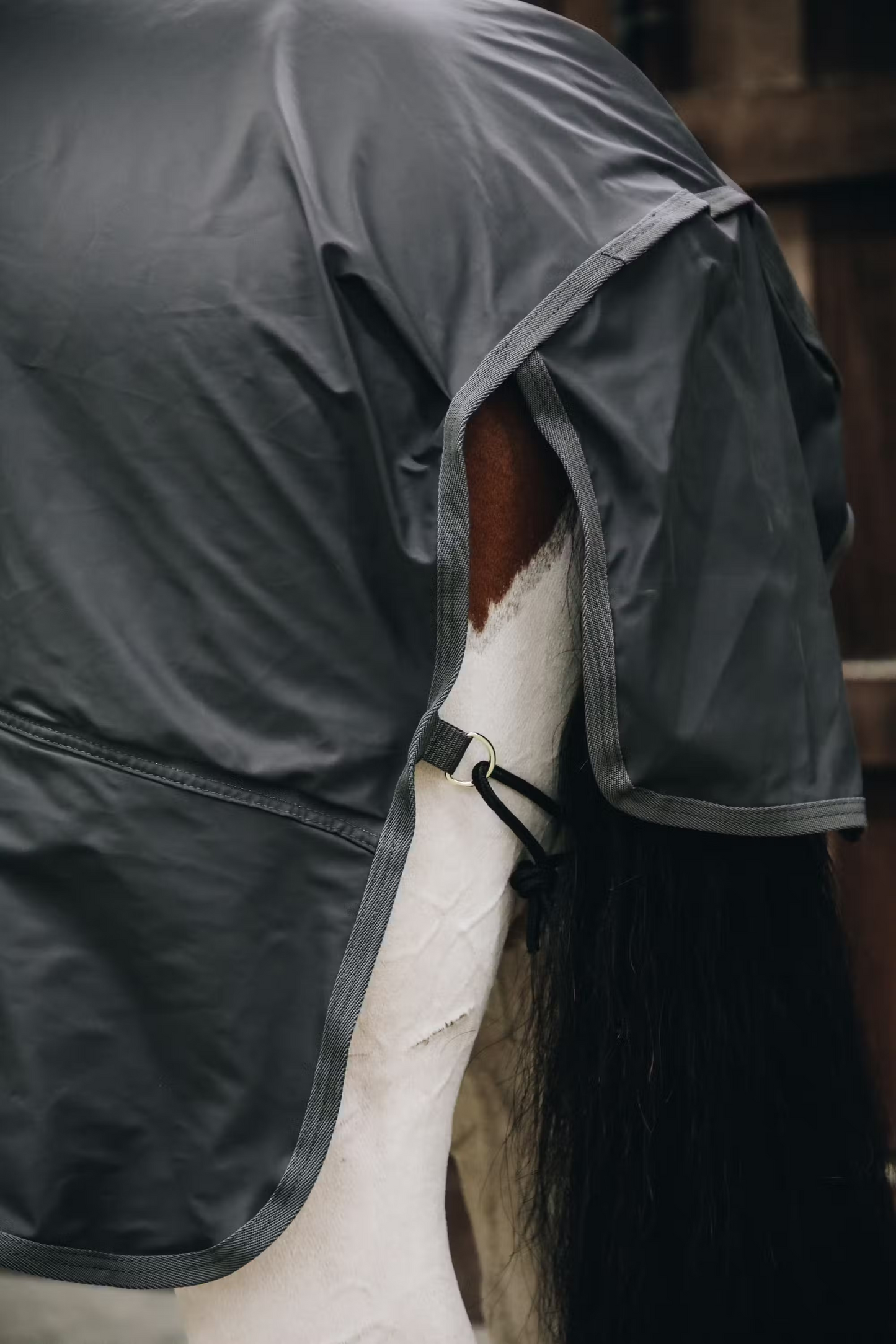 Kentucky Raincoat Hurricane