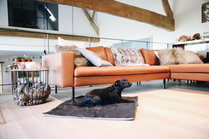 Kentucky Dog Bed Travel In Style: Medium 70cm x 55cm