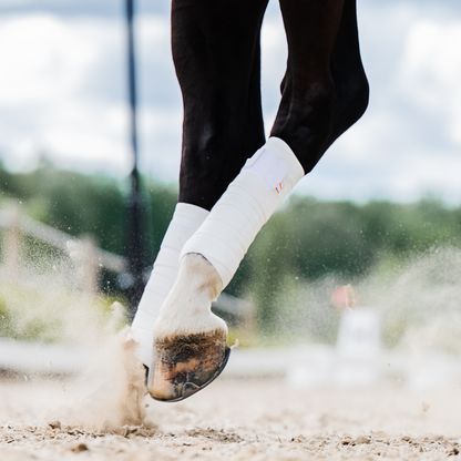 Incrediwear Equine Circulation Exercise Bandages | White