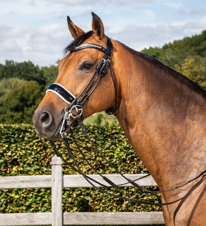 Dy'on Dressage Collection Rolled Leather Double Bridle
