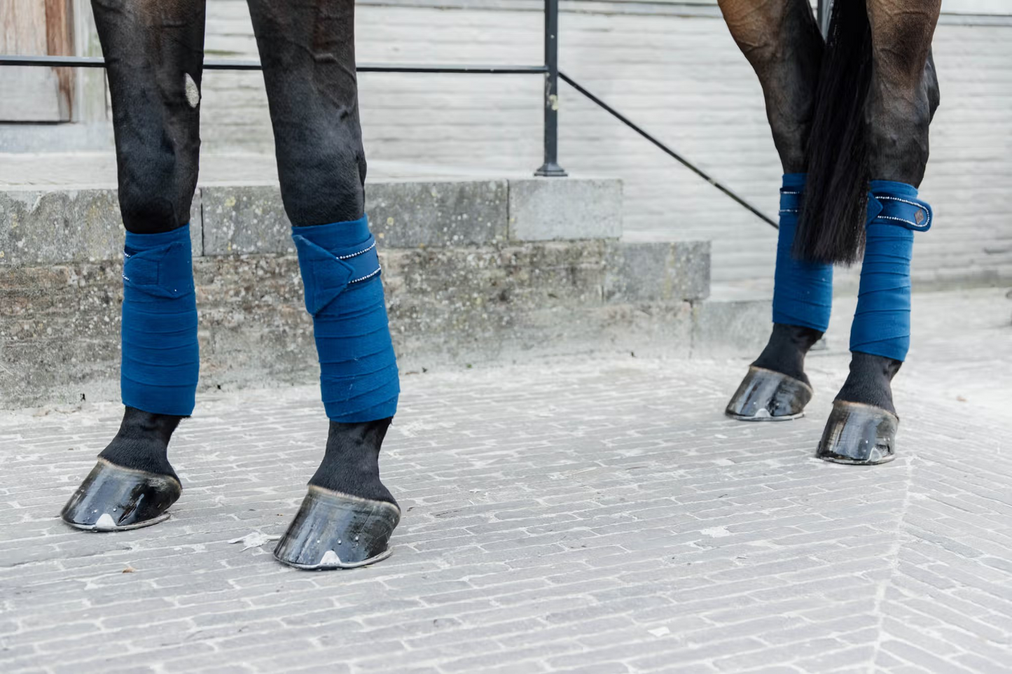 Kentucky Polar Fleece Bandages Velvet and Pearl | Choose Colour