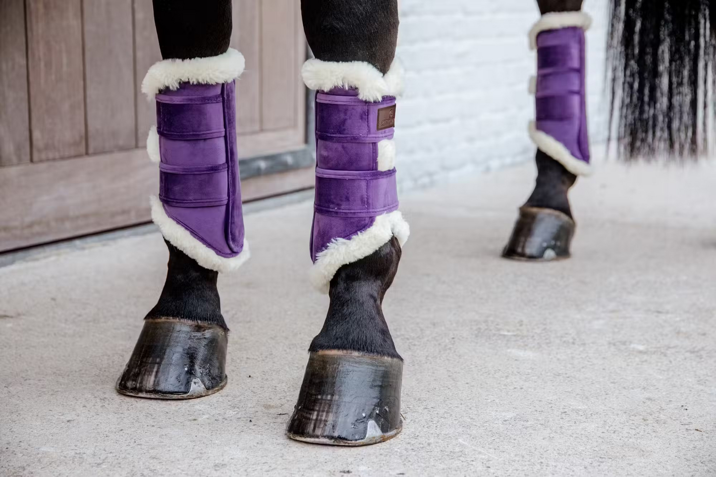 Kentucky Velvet Contrast Royal Purple SET: Full Dressage Saddle Pad + Boots (4) + Fly Veil