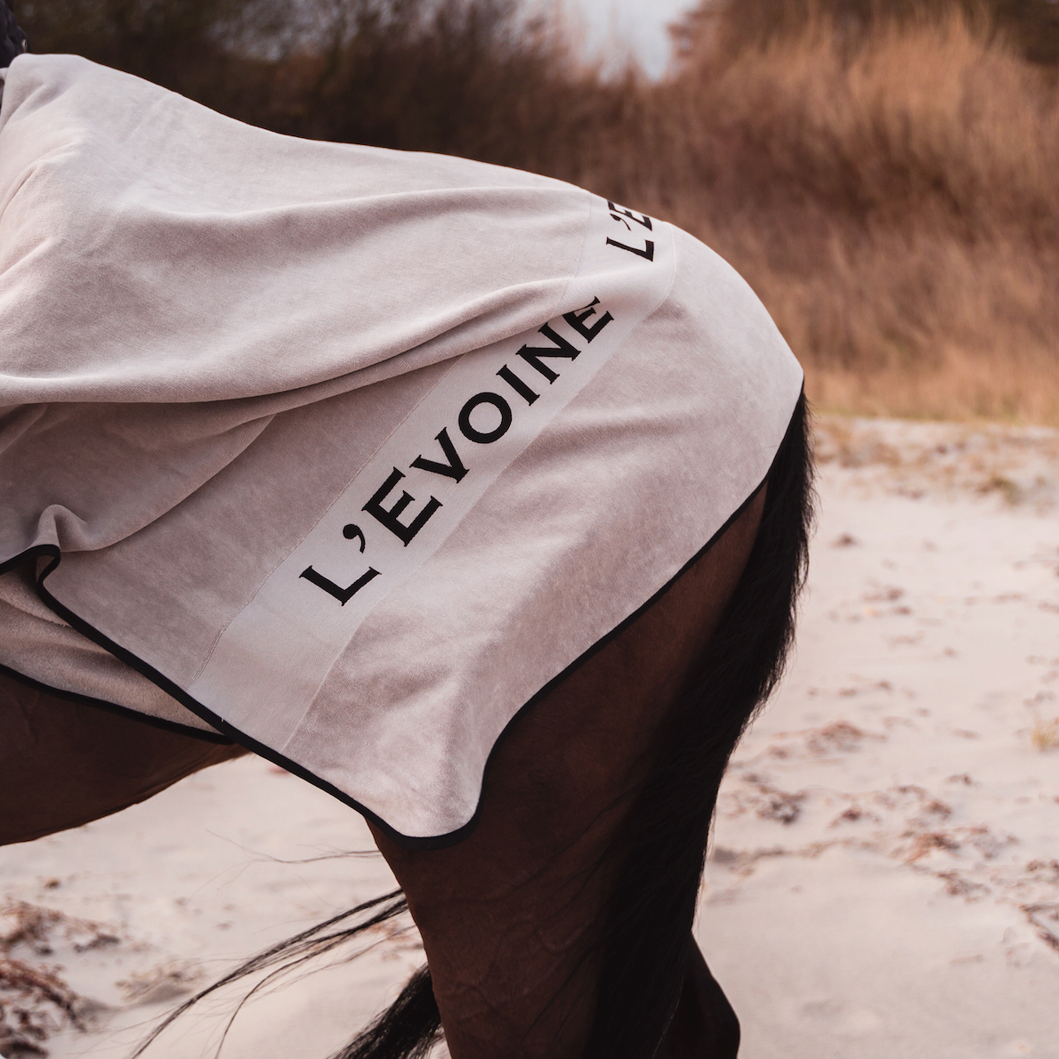 L'Evoine Signature Cotton Terry Blanket
