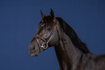 Dy'on US Collection | Anatomic Flash Noseband Bridle