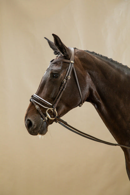 Working by Dy'on Large Crank Flash Noseband Bridle