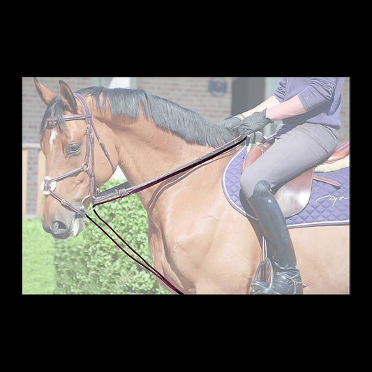 Dy'on Working Collection Leather/Rope Draw Reins