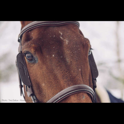 Dy'on Focus Blinkers