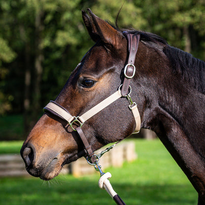 Dy'on La Cense 2 in 1 Halter Creme/Brown and Lead Set