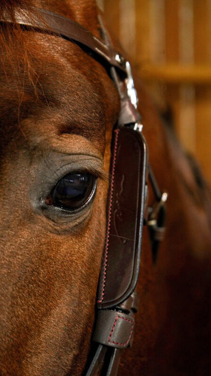 Dy'on Focus Blinkers